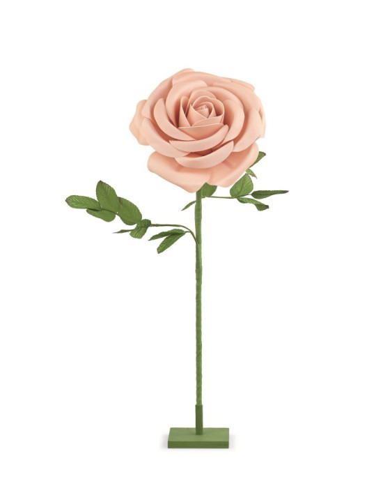 ROSA-COLORE  ROSA- CON STELO