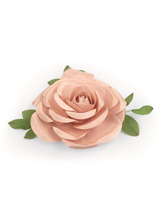 ROSA COLORE ROSA D50