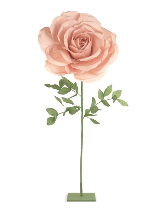 ROSA COLORE  ROSA CON STELO D70