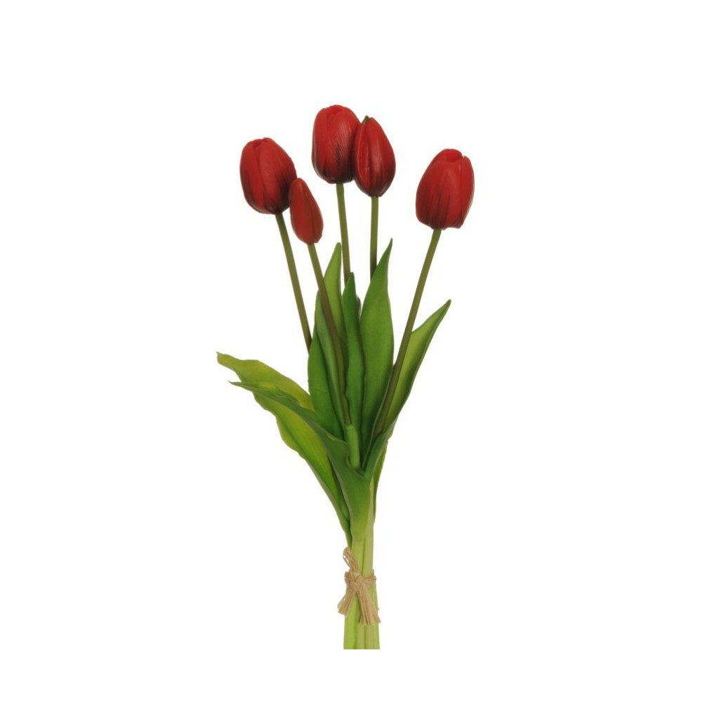 TULIP BUNDLE X5 ROSSO CM38