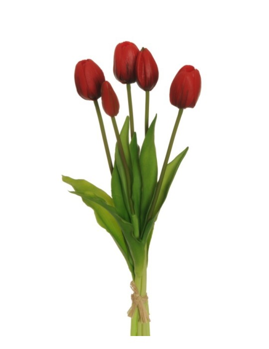 TULIP BUNDLE X5 ROSSO CM38