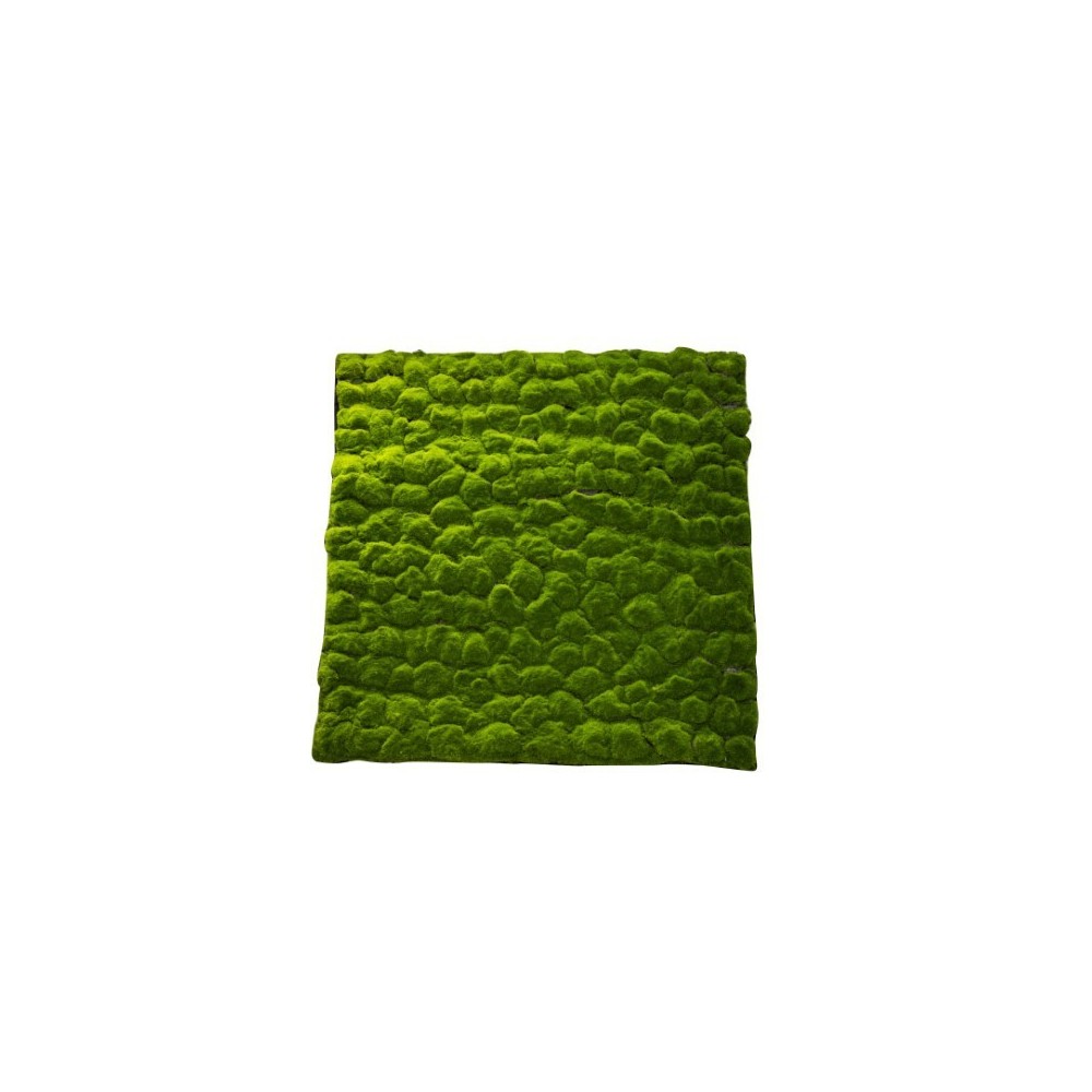 MATTONELLA MUSCHIO A SASSI