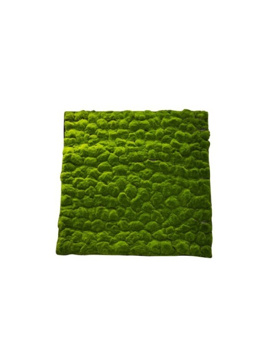 MATTONELLA MUSCHIO A SASSI