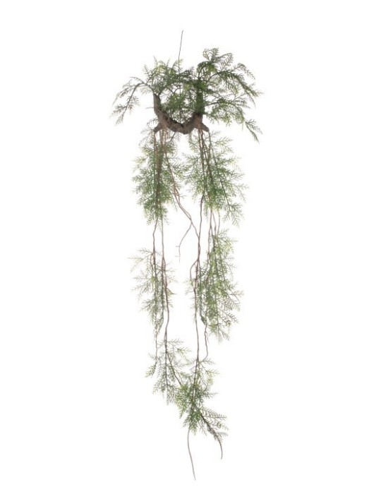 CASCATE FELCI CM.120