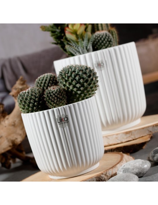 CASPO D13.5 H13 WHITE OPACO