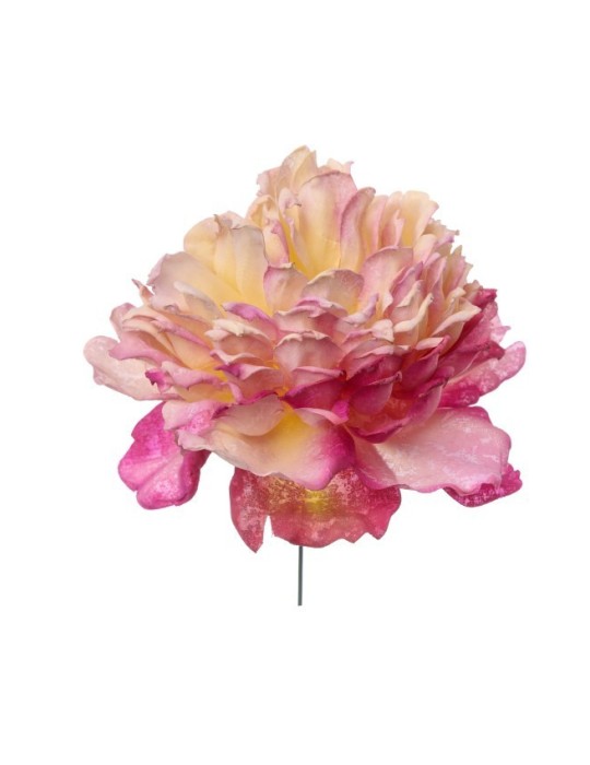 PICK PEONIA COLORE BLU CM12