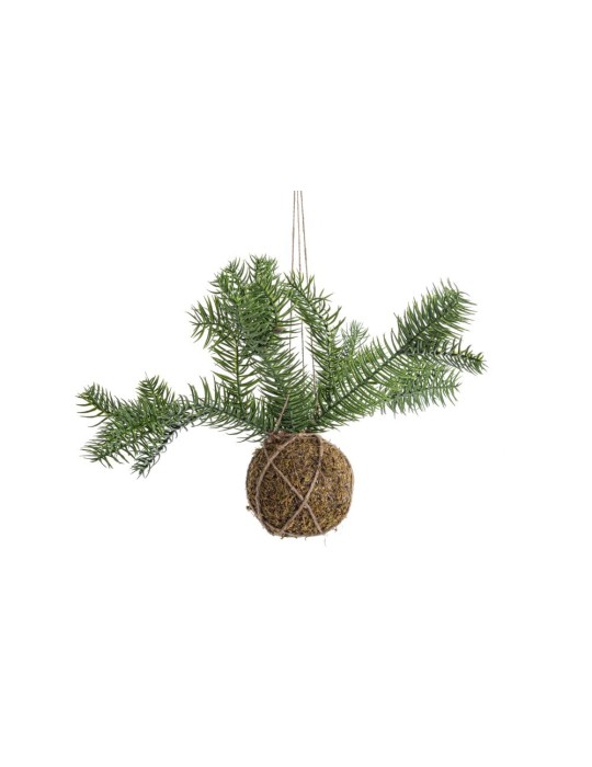 SFERA KOKEDAMA CON PINO D58 VERDE