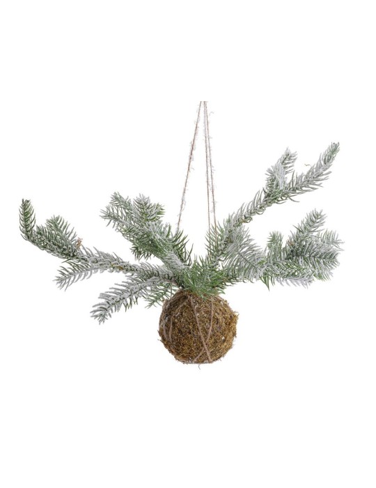 SFERA KOKEDAMA CON PINO INNEVATA