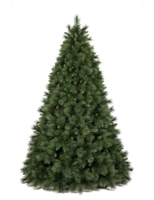 ALBERO OLIMPO 240CM D157 TIPS 1931