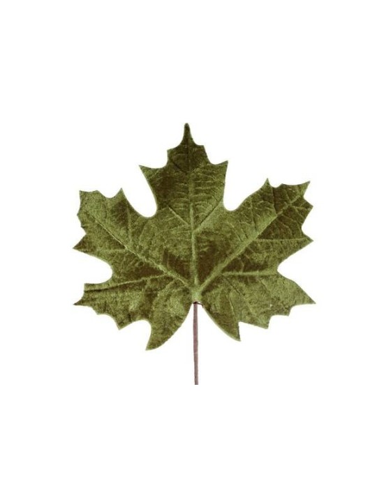 FOGLIA VELLUTO VERDE