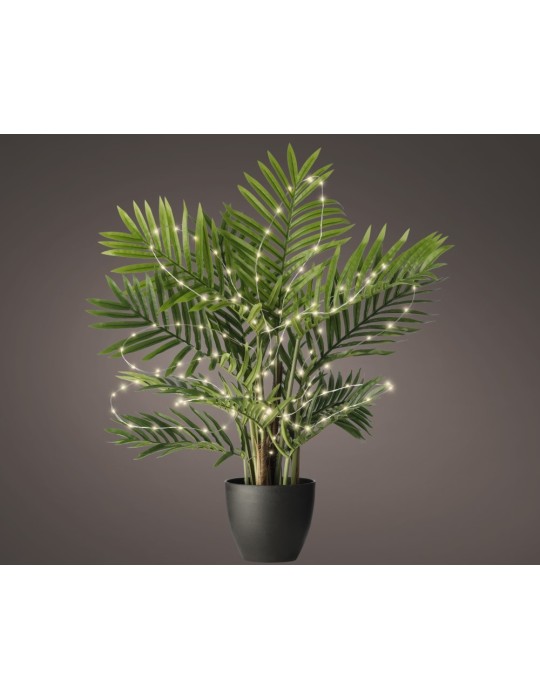 PIANTA DA ESTERNO CON LED H80