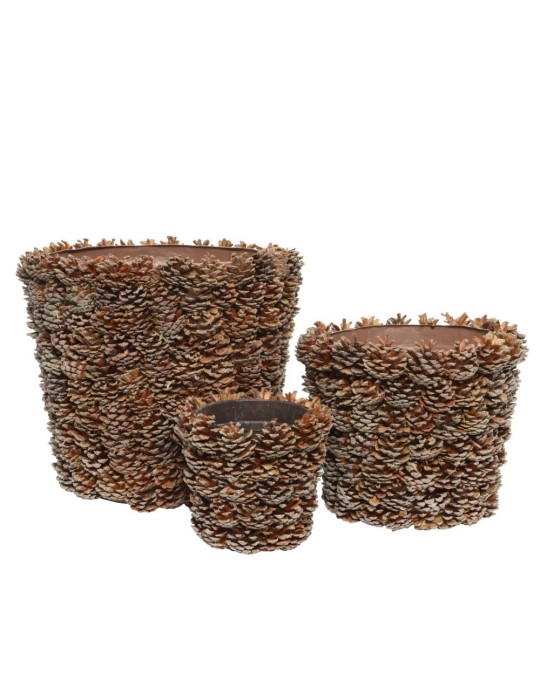 SET 3 CESTE CON PIGNE NATURALI