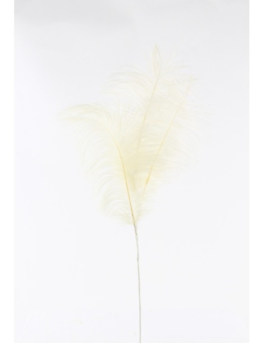 DECORO PIUME BIANCHE H69CM
