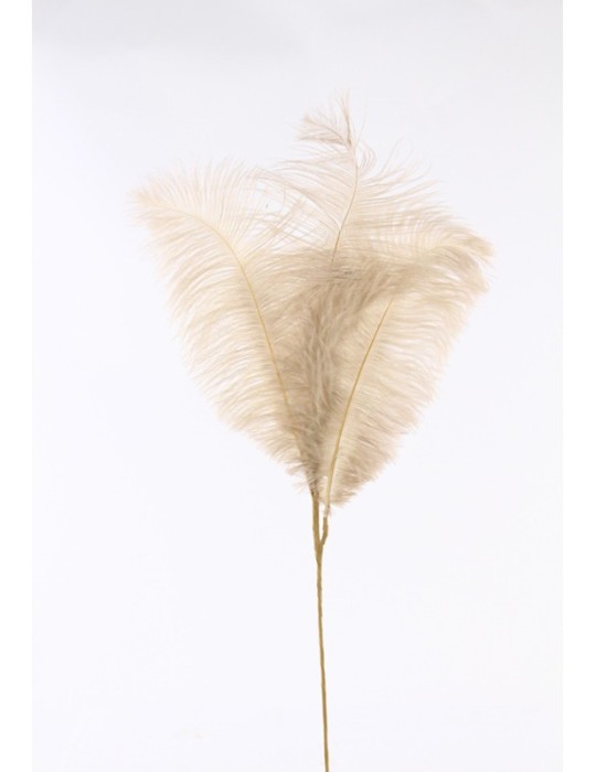 DECORO PIUME AVORIO H69CM