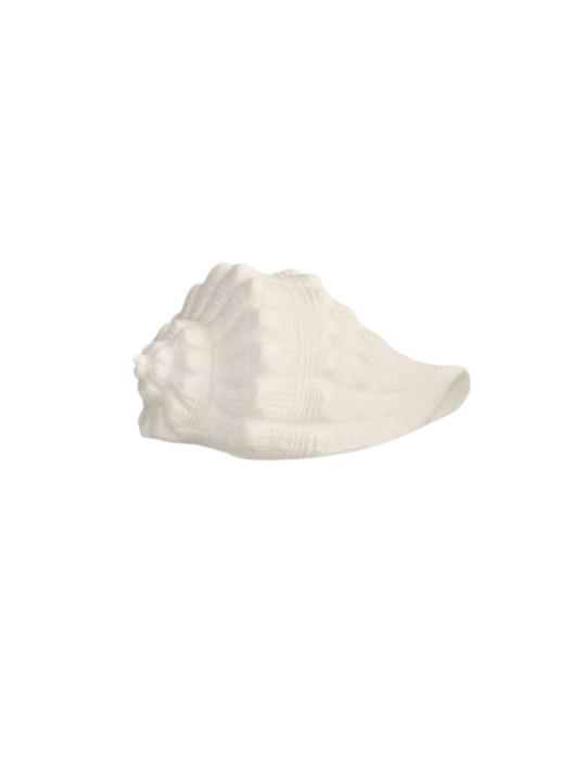 CONCHIGLIA BIANCA CON LED D115