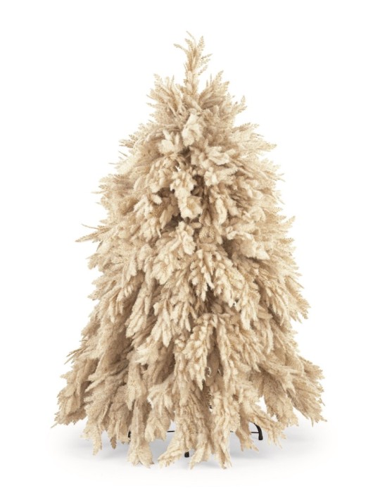 ALBERO PAMPAS NATURALE