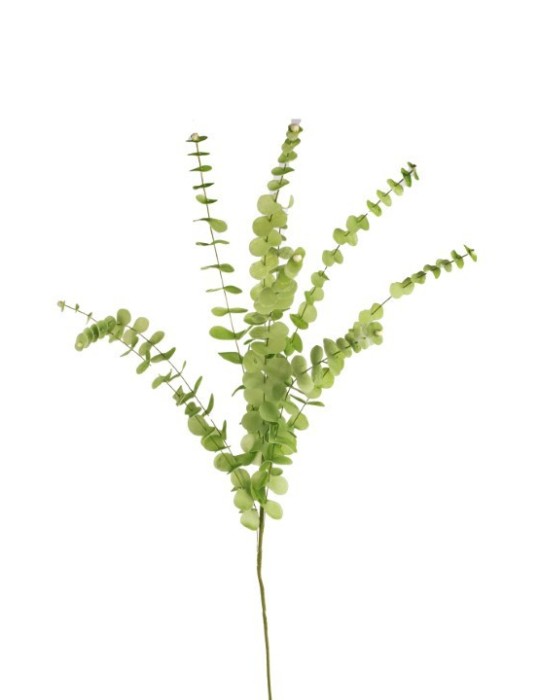 EUCALYPTO POLY CM.100 GREEN