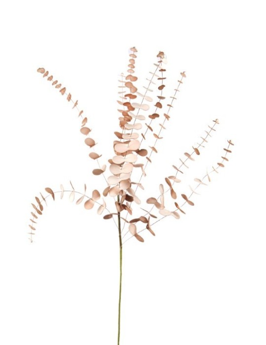 EUCALYPTO POLY CM.100 MALVA