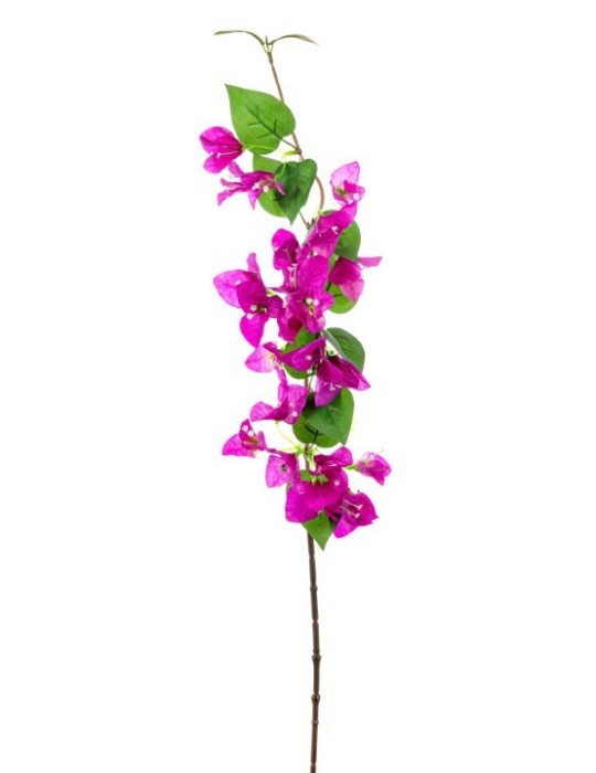 RAMO BOUGAINVELLEA PURPLE