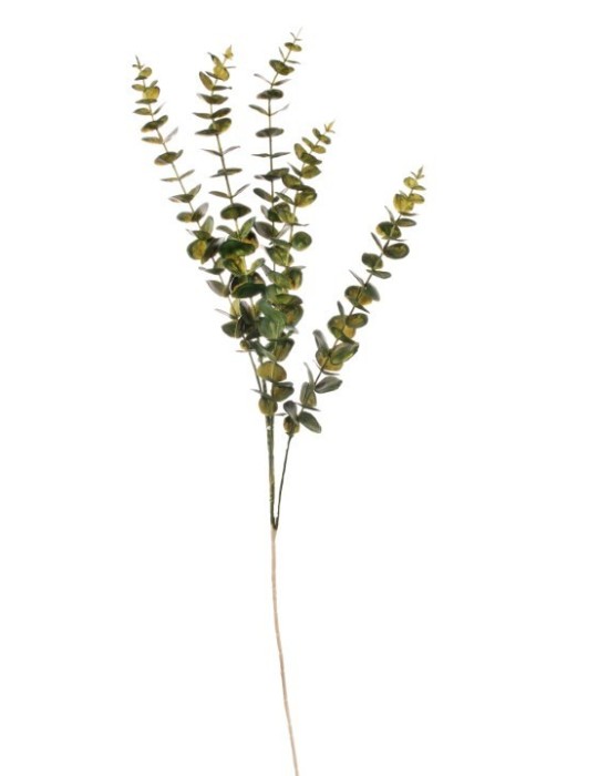 RAMO DI EUCALYPTO GOLD