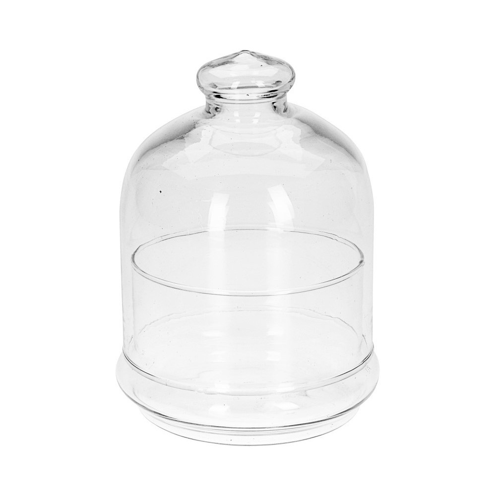 CLOCHE VETRO CON BASE 12X15
