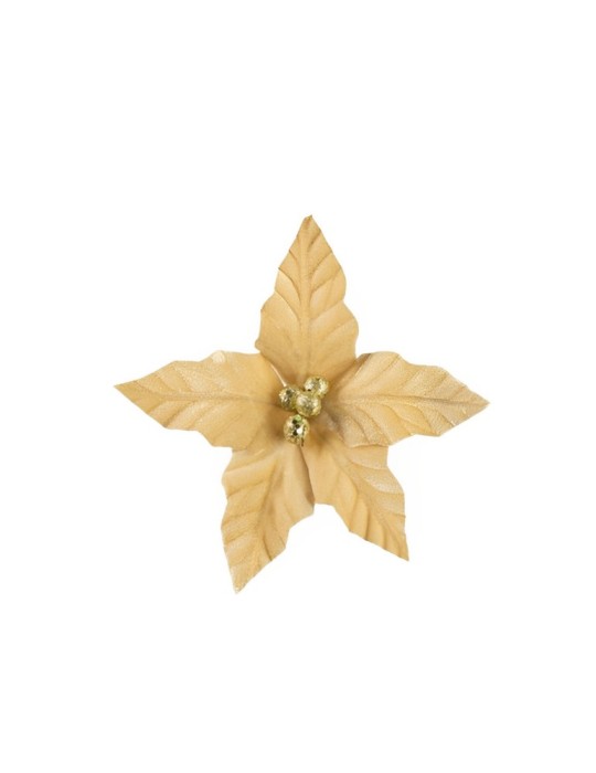 STELLA 5 PETALI VELVET BEIGE 24CM