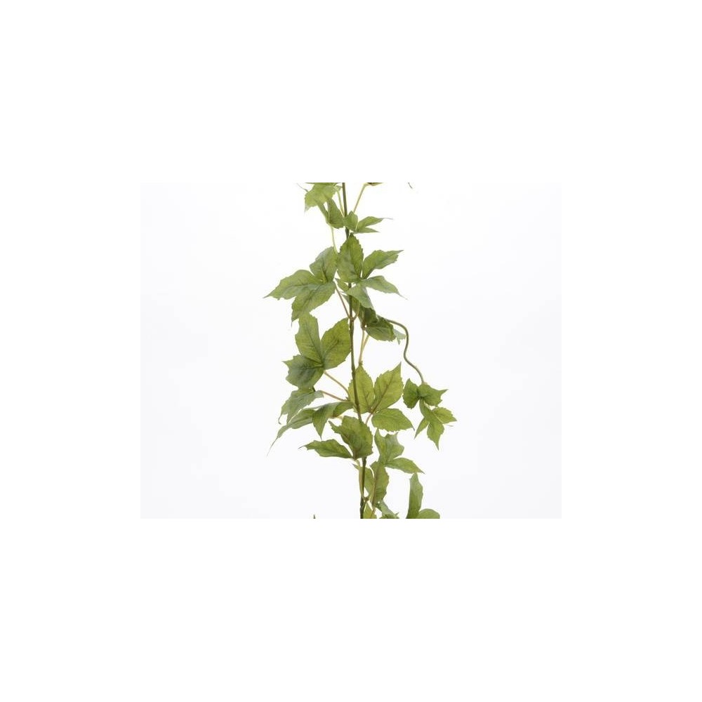 GHIRLANDA EDERA GREEN 180CM