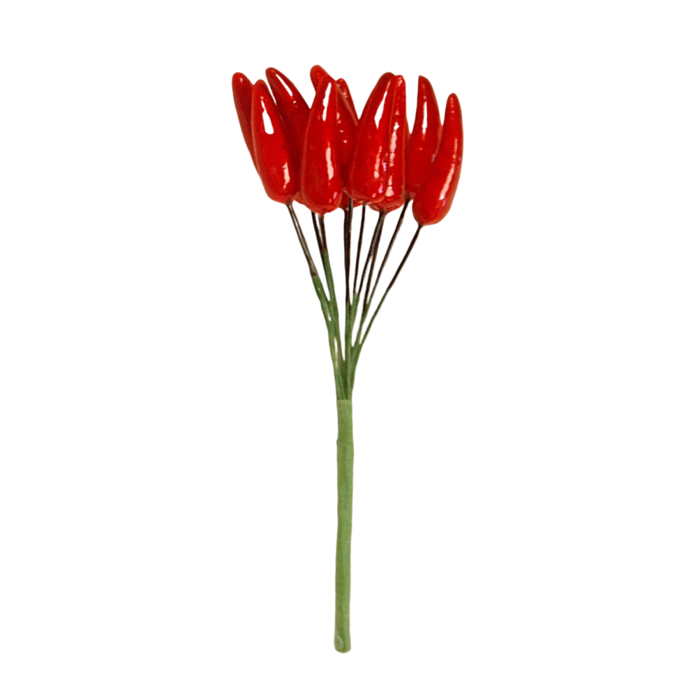 PEPERONCINO ROSSO                       0