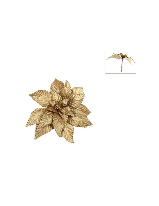 PINZONE POINSETTA VELLUTO CHAMPAGNE