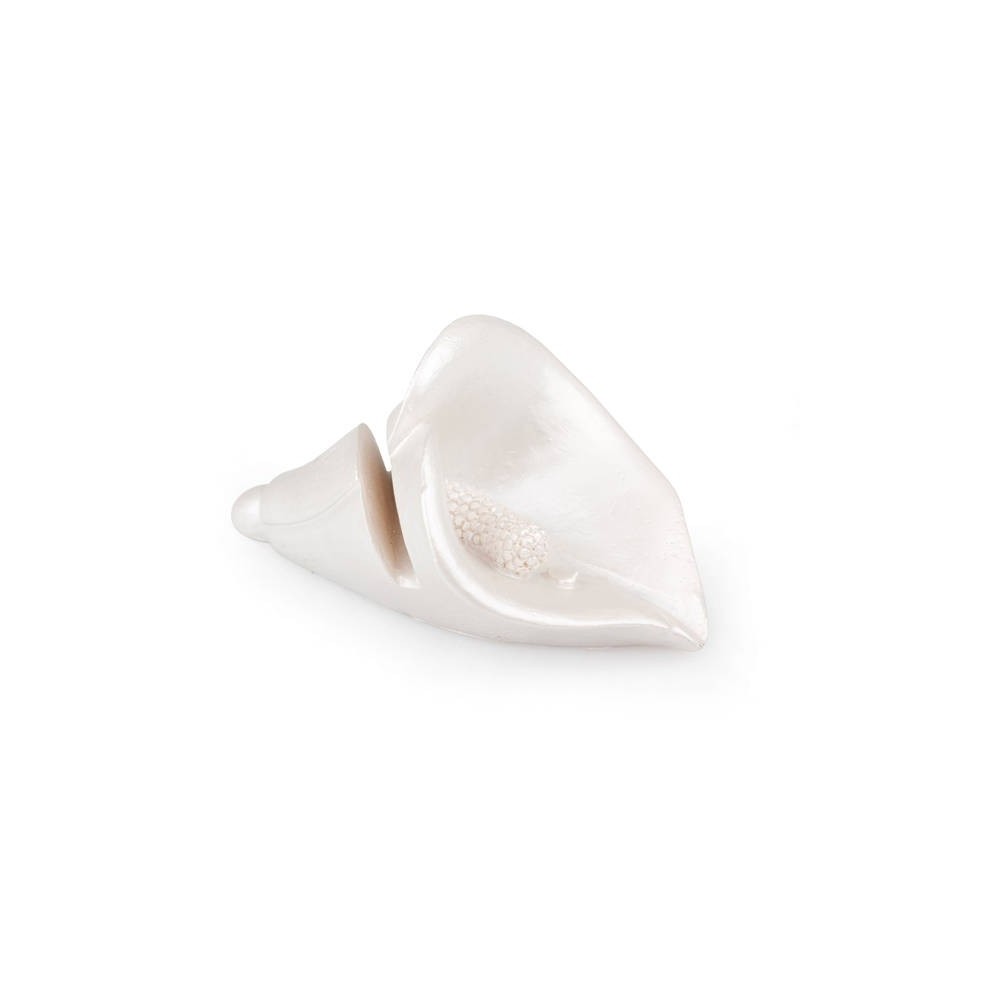 CALLA PORTA BIGLIETTI RESINA  PERLATA 4.5X7CM