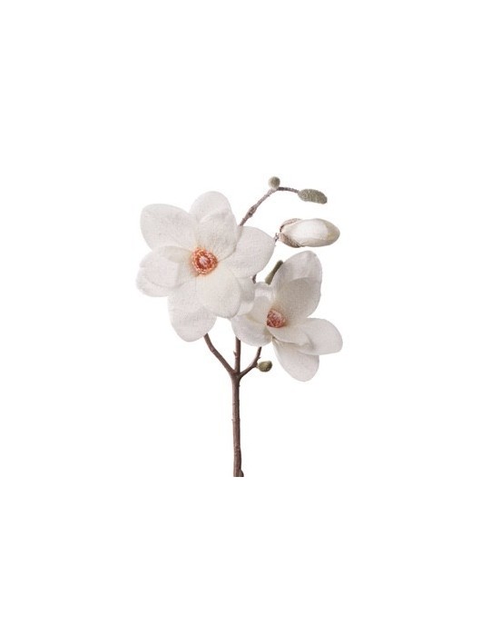 MAGNOLIA INNEVATA BIANCO CM50