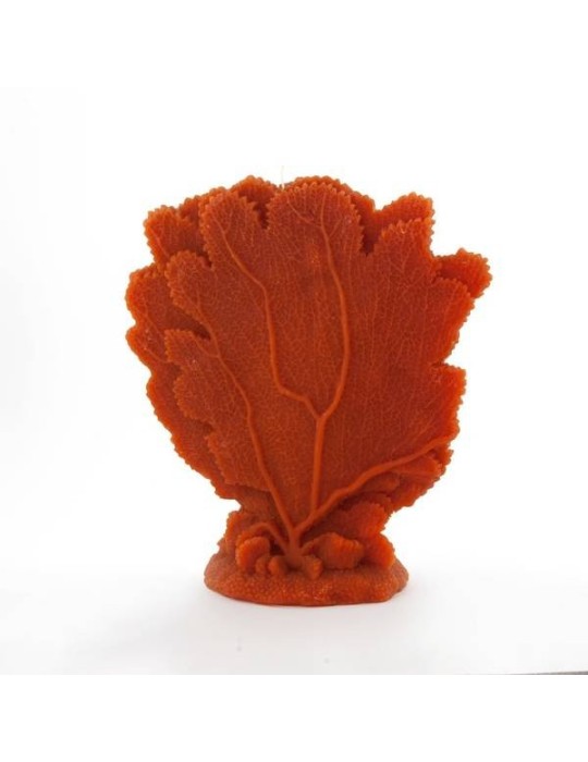 CORALLO CERA CM22.5 ORANGE