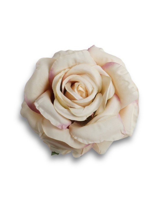 ROSA COFFEE PICK CM10XD13