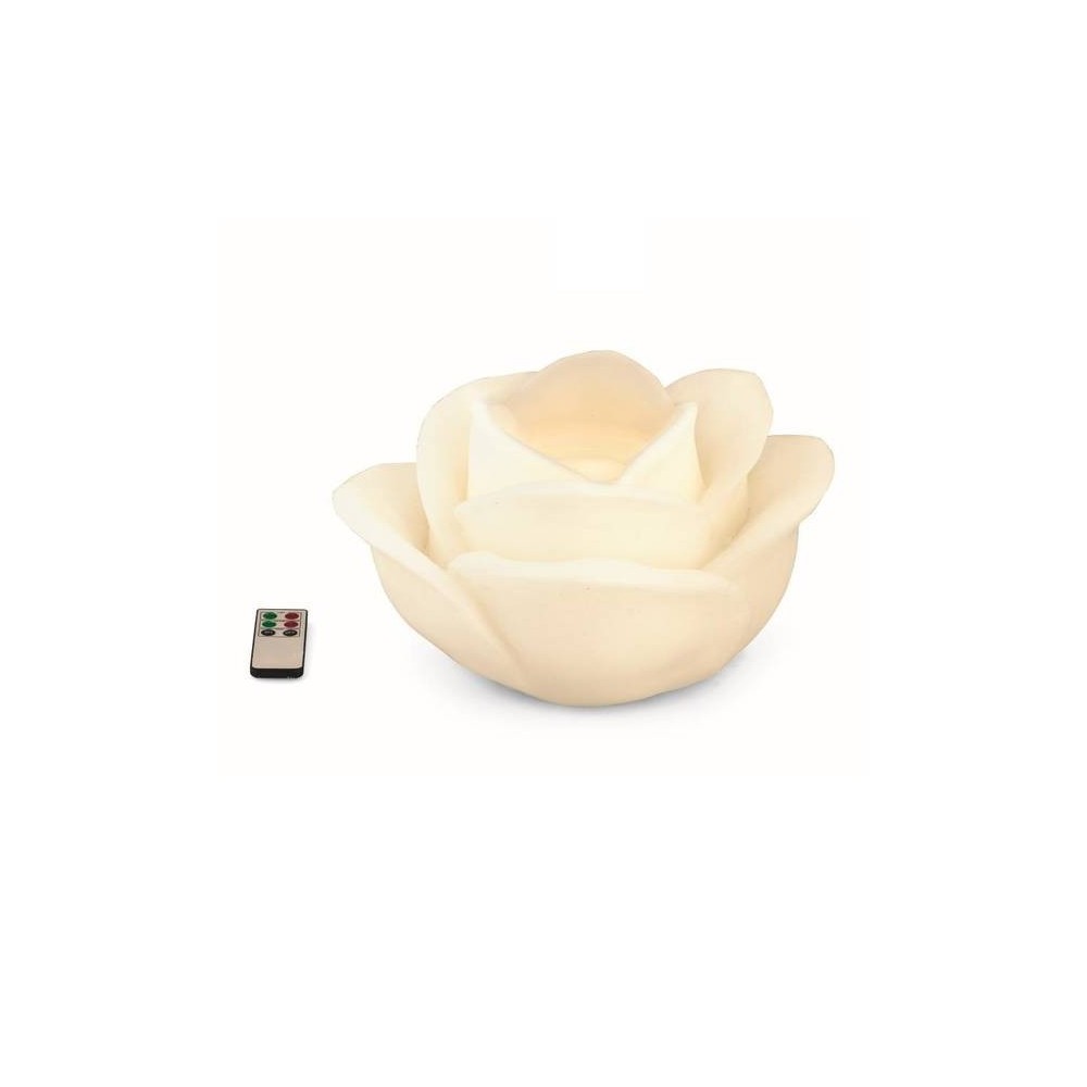 ROSA BIANCA CON FONTANA E LED