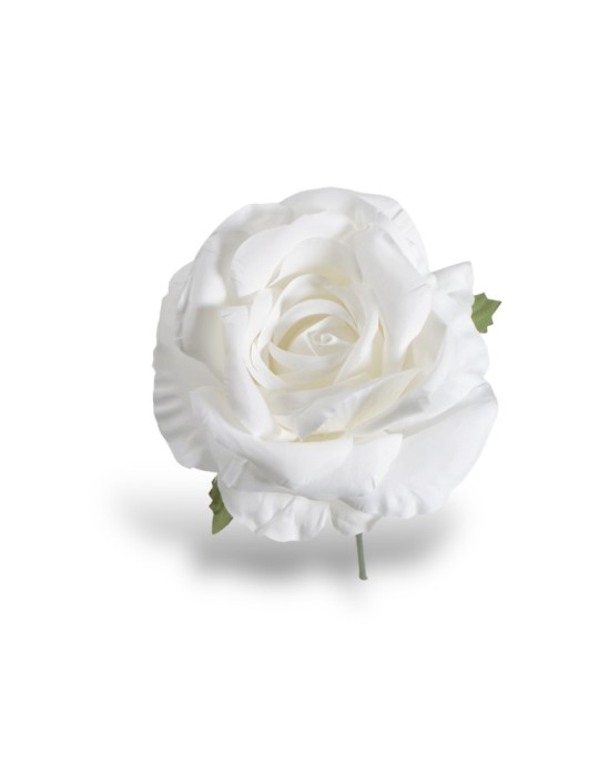 ROSA WHITE STELO CM10XD13