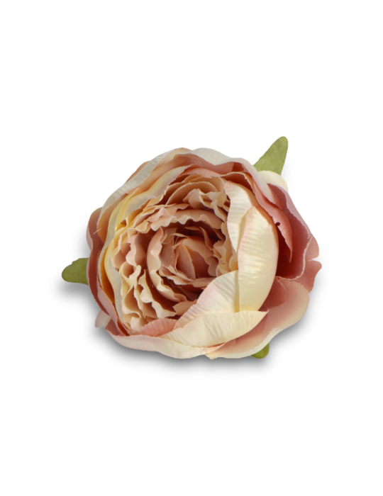 PEONIA CIPRIA STELO 10CM