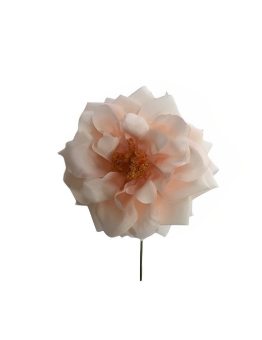 ROSA SPRAY PEACH CON GAMBO D11