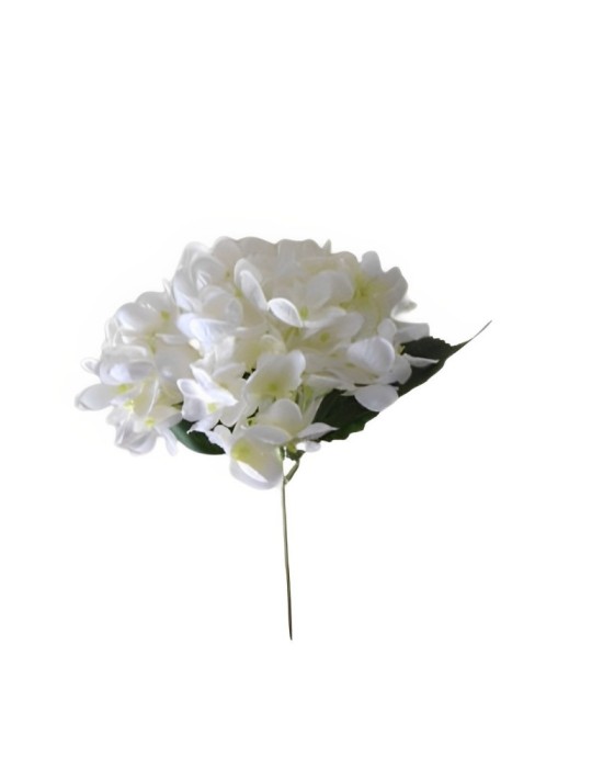 BUSH ORTENSIE WHITE CON FOGLIE